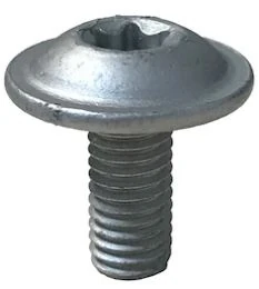 BASAMAK GÖVDE VİDASI AXOR 8mm. 0009849529