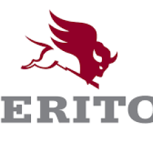 MERİTÖR.A33200S2411132-ÖN DİFERANSİYEL KOMPLE ÇİFT ÇEKER FORD CARGO (TRUCKS)-VOLVO (TRUCKS)-RENAULT (TRUCKS)