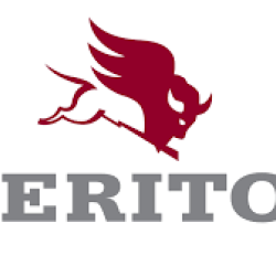 MERİTÖR.3297C1485-ÖN DİFERANSİYEL GİRİŞ MİL VOLVO TİP FORD CARGO (TRUCKS)-DAF (TRUCKS)-RENAULT (TRUCKS)