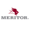 MERİTÖR.2387-SİLİNDİRİK MASURA (DİFERANSİYEL) FORD (CARGO)