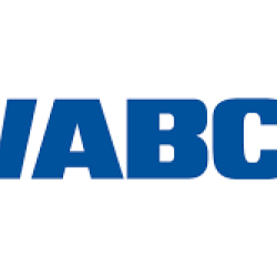 WABCO.4386003250-ŞASE ÖN AMORTİSÖR MAN (F 2000-M 2000)-STEYR